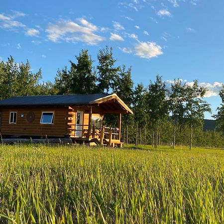 Oma'S And Opa'S Northern Lights Viewing Cabin Villa Whitehorse Exteriör bild