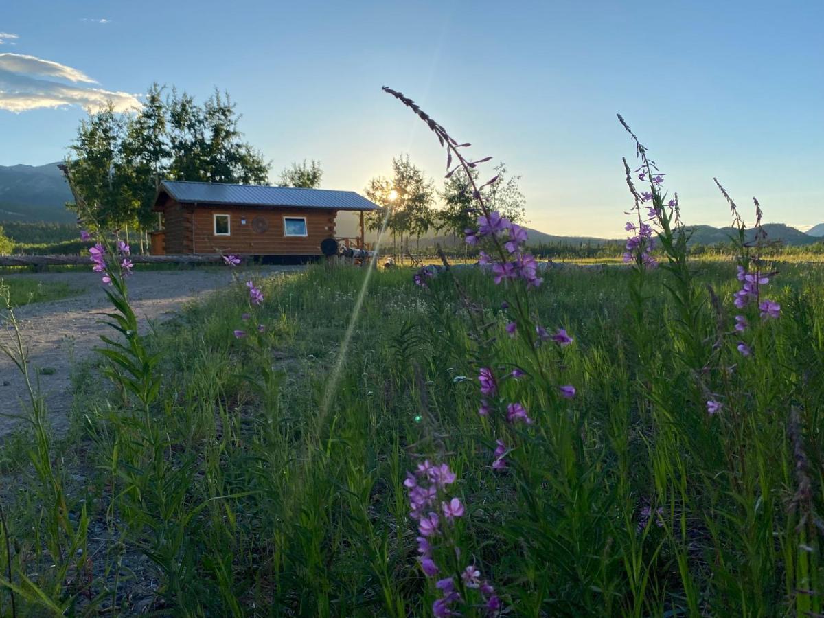 Oma'S And Opa'S Northern Lights Viewing Cabin Villa Whitehorse Exteriör bild