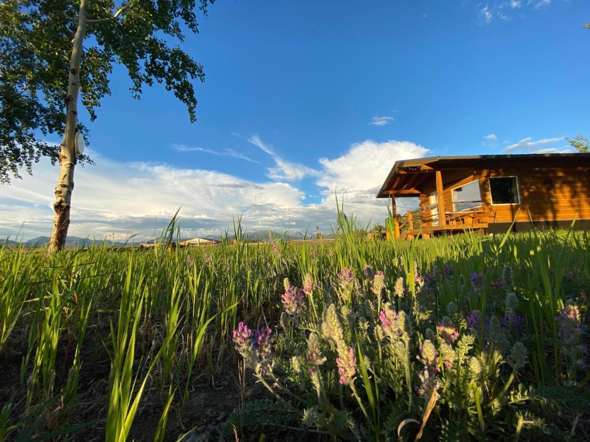 Oma'S And Opa'S Northern Lights Viewing Cabin Villa Whitehorse Exteriör bild