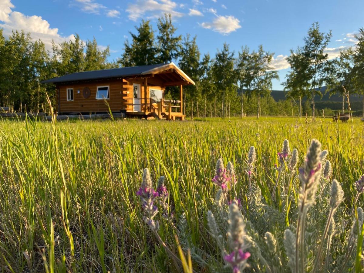 Oma'S And Opa'S Northern Lights Viewing Cabin Villa Whitehorse Exteriör bild