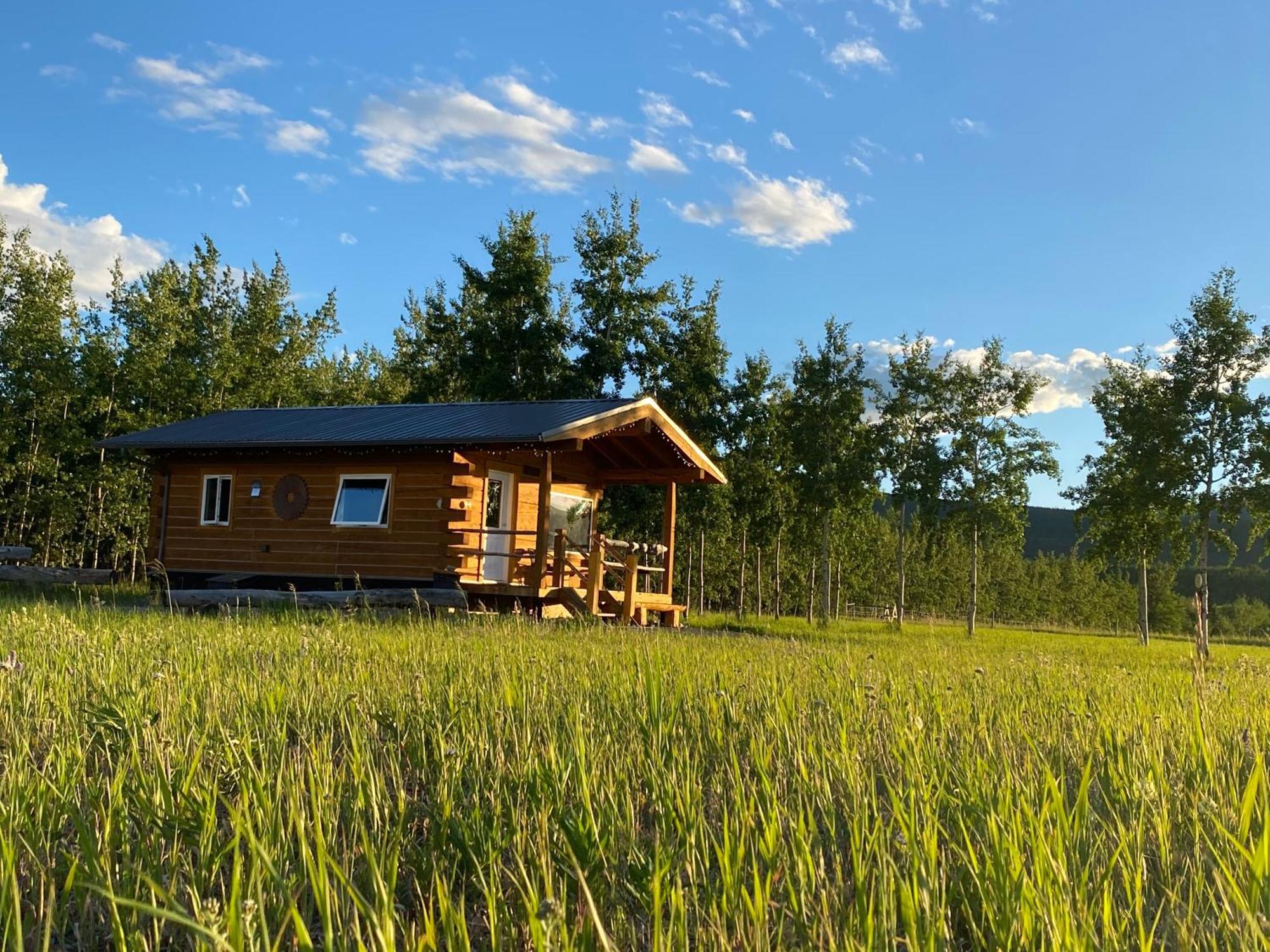 Oma'S And Opa'S Northern Lights Viewing Cabin Villa Whitehorse Exteriör bild